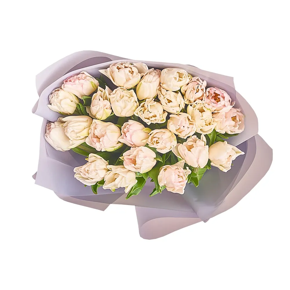 Букет из 25 кремовых тюльпанов