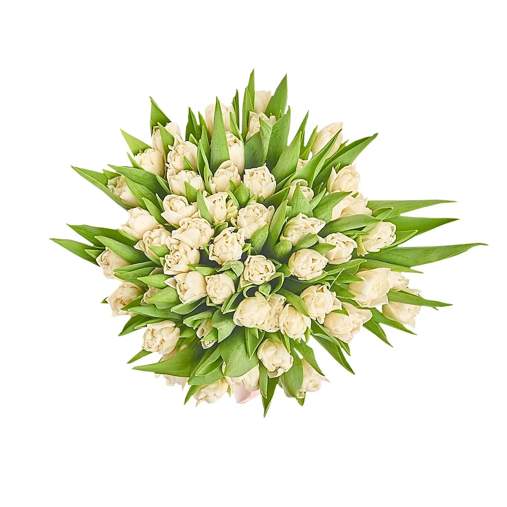 Букет из 51 белого пионовидного тюльпана